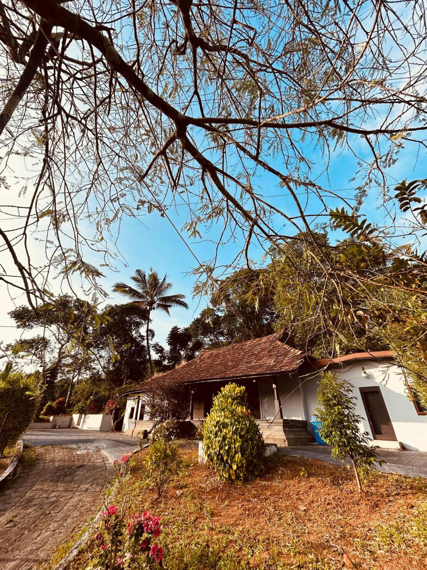 Silent House Villa Kudayattur ภายนอก รูปภาพ